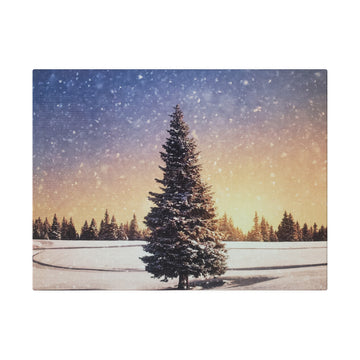 This tree brings so much peace to your space Many sizes on canvas with Ecofriendly wood