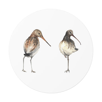 Shorebird Watercolor Round Vinyl Sticker — Whimbrel & Snipe Bird Art